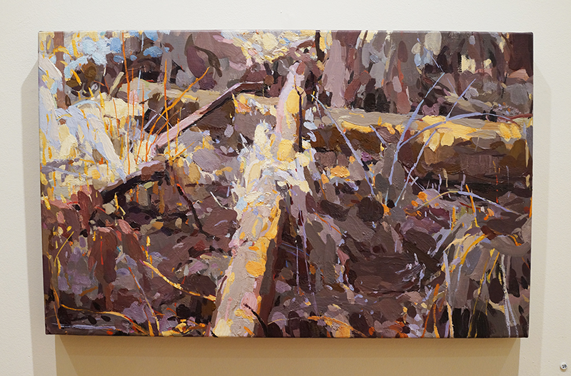 MARY TONKIN, Impasse, Kalorama, 2009, oil on linen 41 x 66 cm