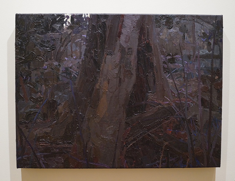 MARY TONKIN, Witness, Kalorama 2009 oil on linen 41 x 55 cm